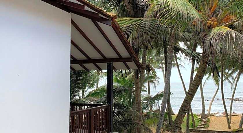 Curry Bowl Restaurant & Turtles Rest