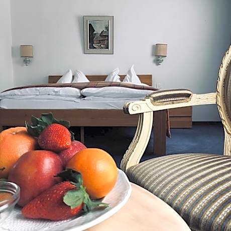 Superior Double Room with Terrace and Mountain View