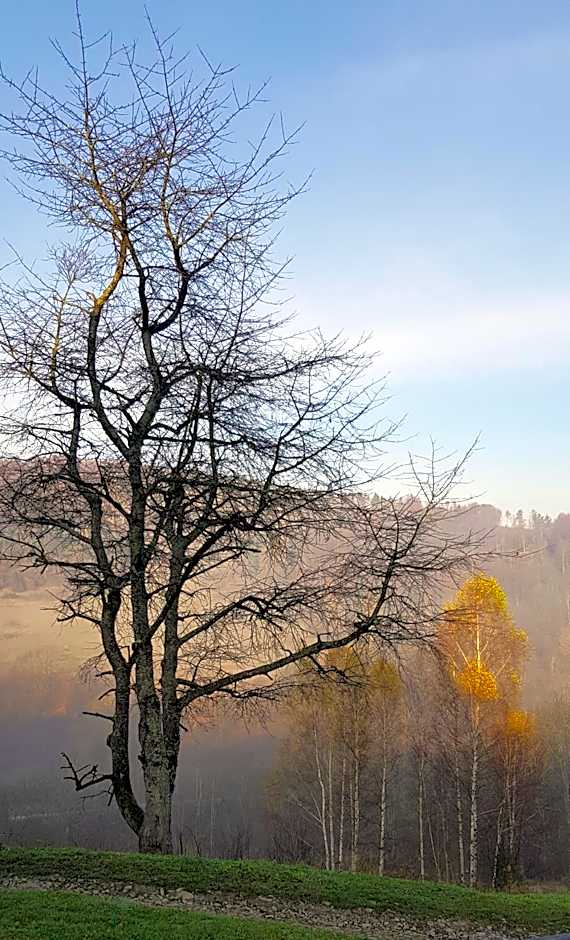 Bacówka PTTK Jaworzec