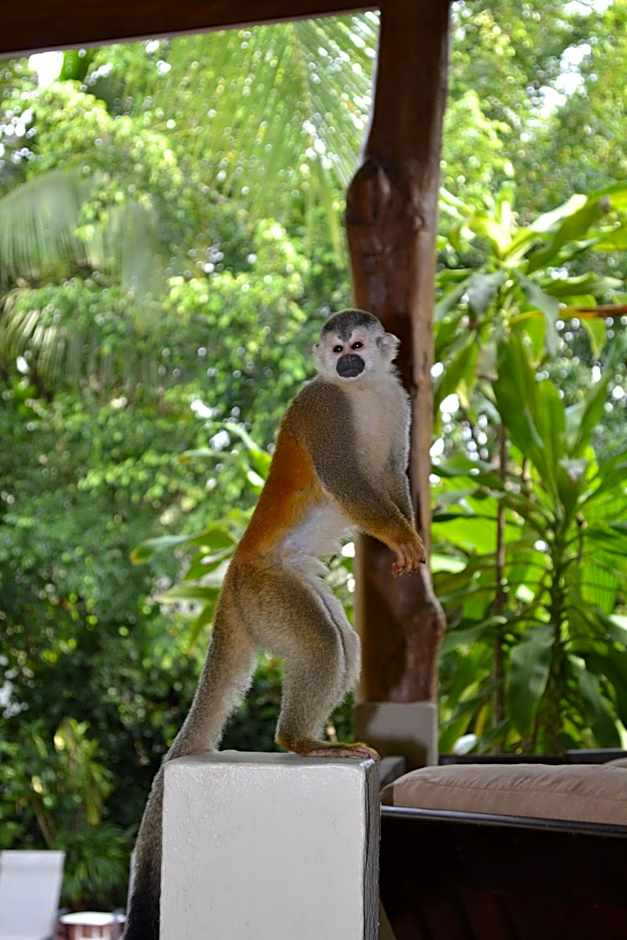 The Falls at Manuel Antonio