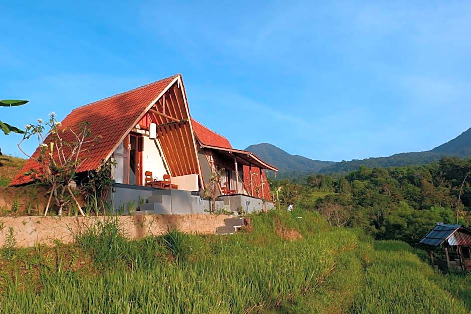 Padi Bali Jatiluwih