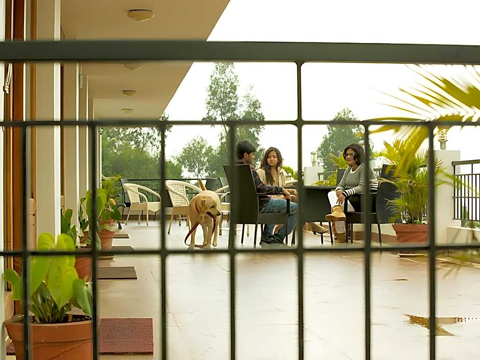 Mount 'n' Mist Hotel