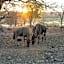 Foxy Crocodile Bush Lodge & Kruger Safaris