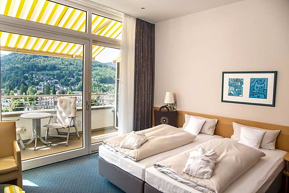 Schwarzwald Panorama