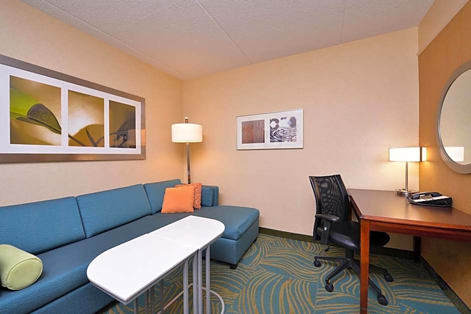 SpringHill Suites by Marriott Arundel Mills BWI Airport