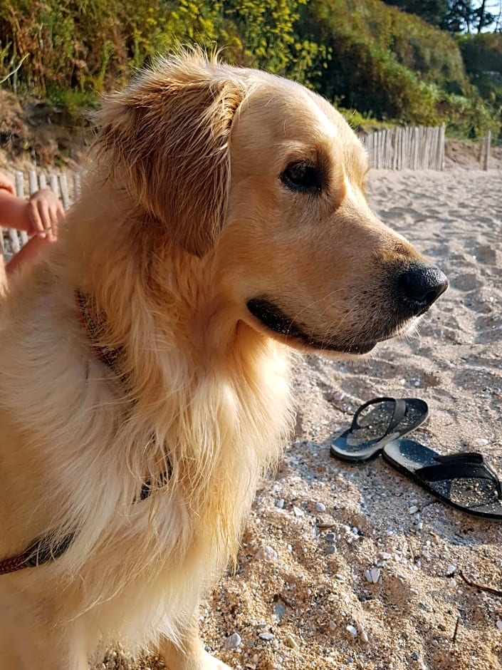 La Minoterie - Studio avec kitchenette et Chambre d'hôtes