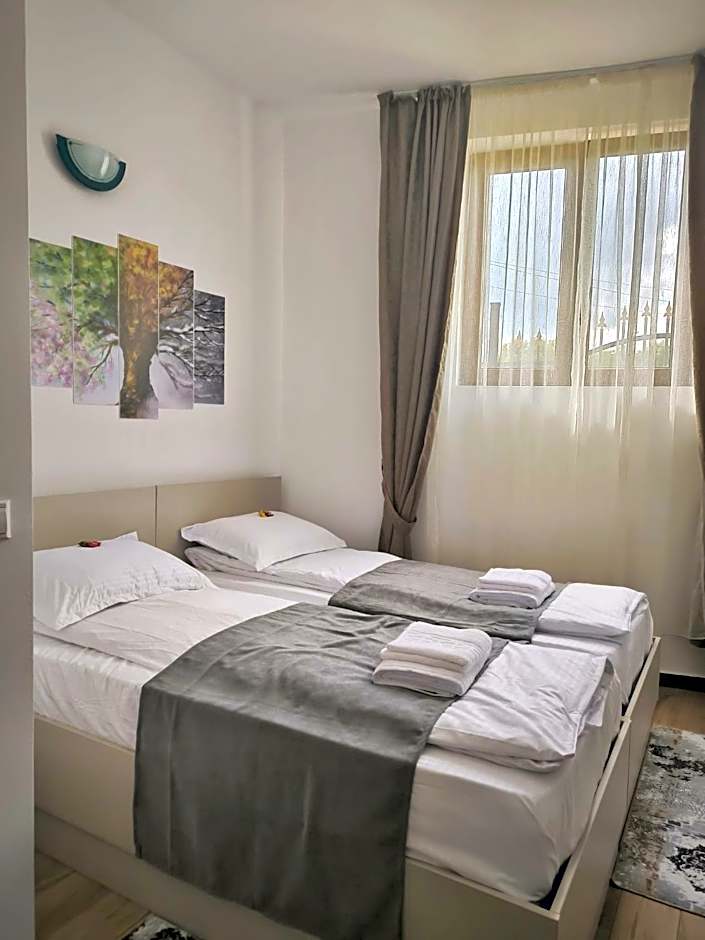 Adriana Touristik Hostel 3 Stele Arad