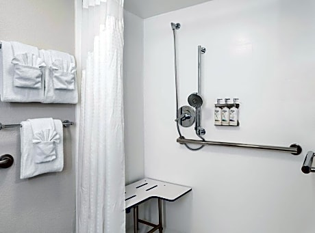 King Room with Roll In Shower - Non-Smoking