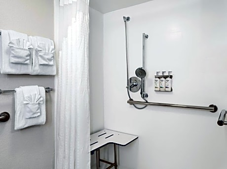 King Room with Roll-In Shower - Disability Access