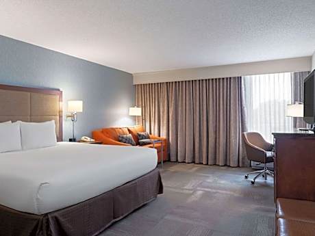 1 King Bed Deluxe Room Non-Smoking