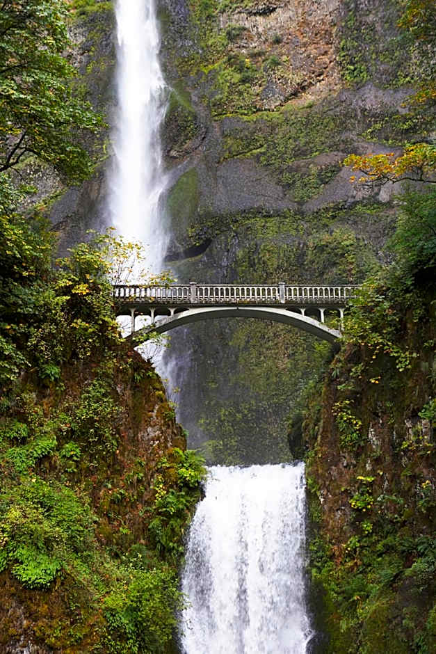 TownePlace Suites by Marriott Iron Mountain