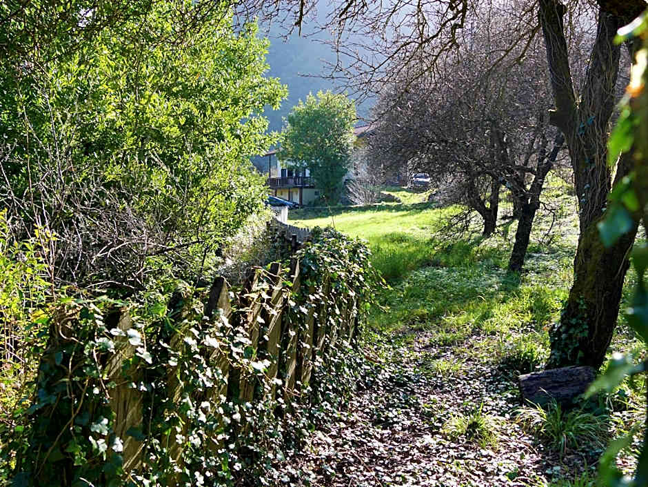 Casinhas da Laurissilva