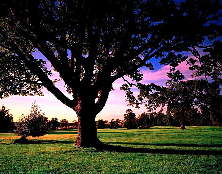 Meon Valley Hotel & Country Club