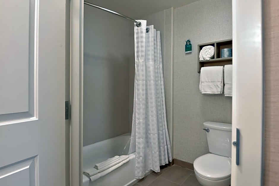 Homewood Suites by Hilton Anaheim Conv Ctr/Disneyland Main