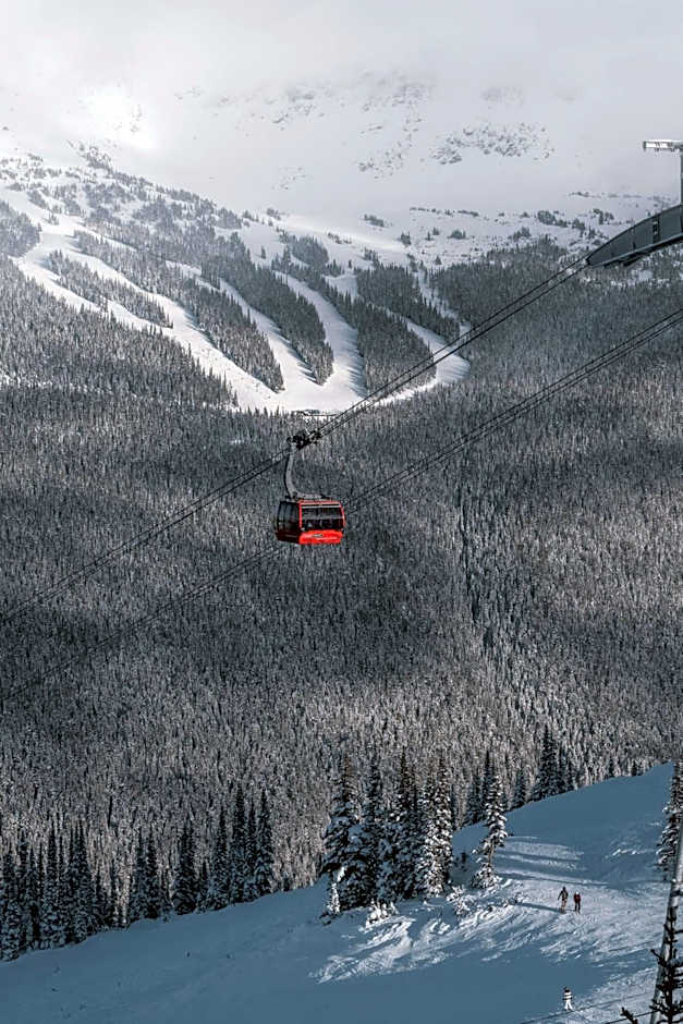 Cozy Creek Den - Studio w Hot Tub and Pool