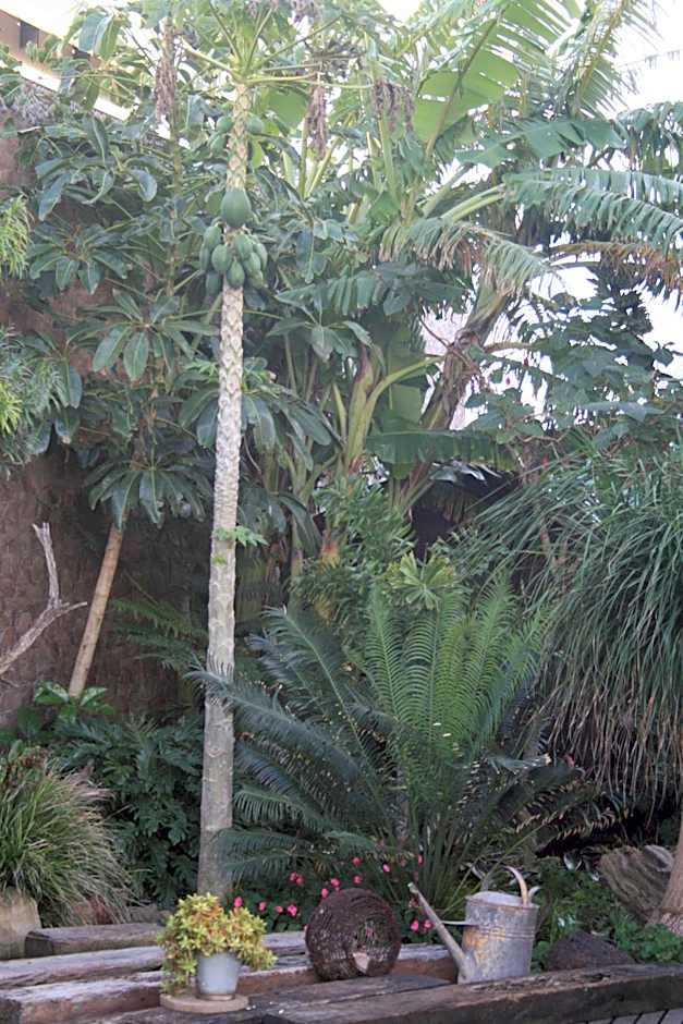 Dungbeetle River Lodge