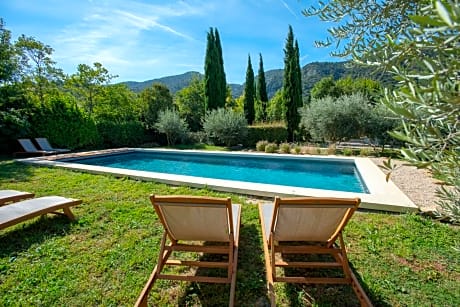 Le Champ des Oliviers