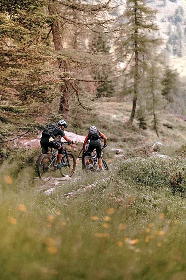 Cristallo Sport & Wellness Hotel