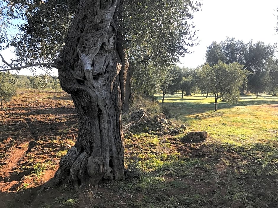 Li Caseddi ti lu Cesarinu