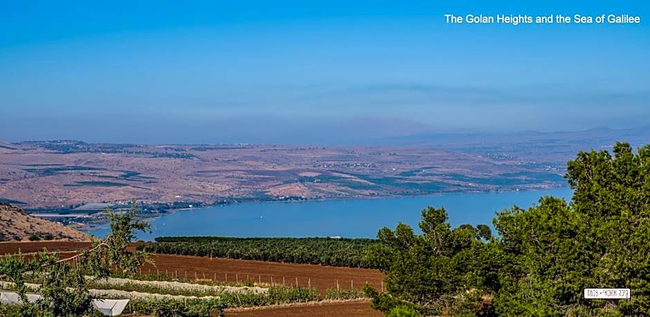 Beautiful Lake View Wooden House
