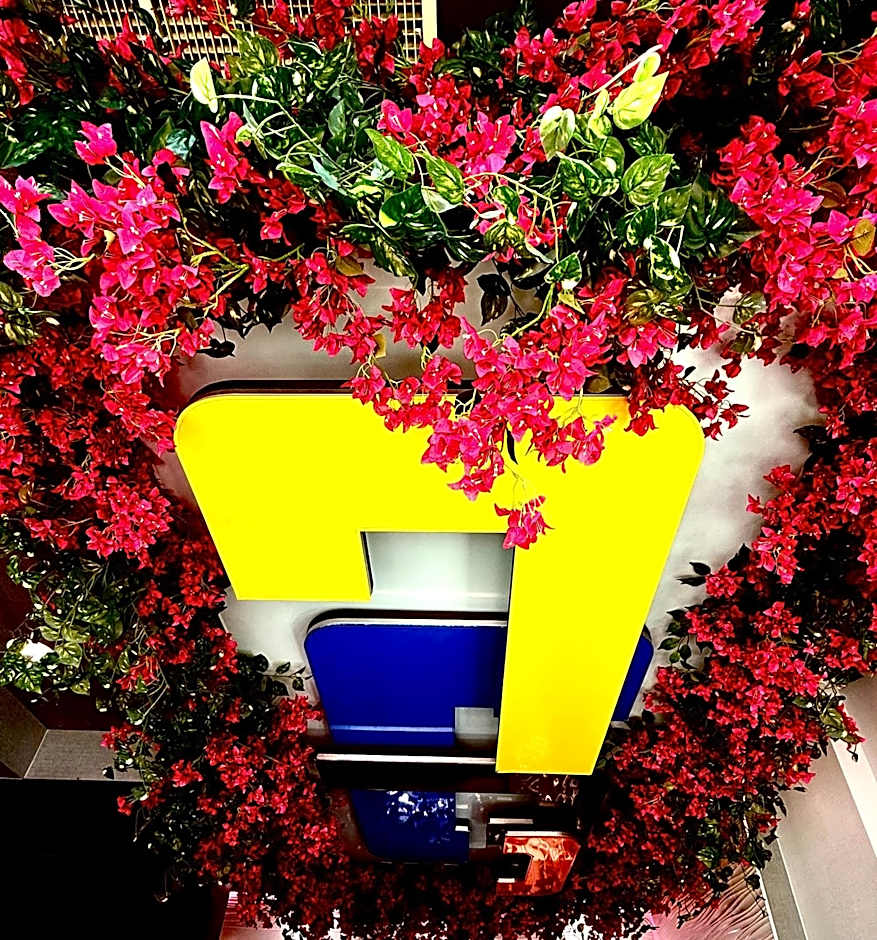 Umbrella Hotel Bronx