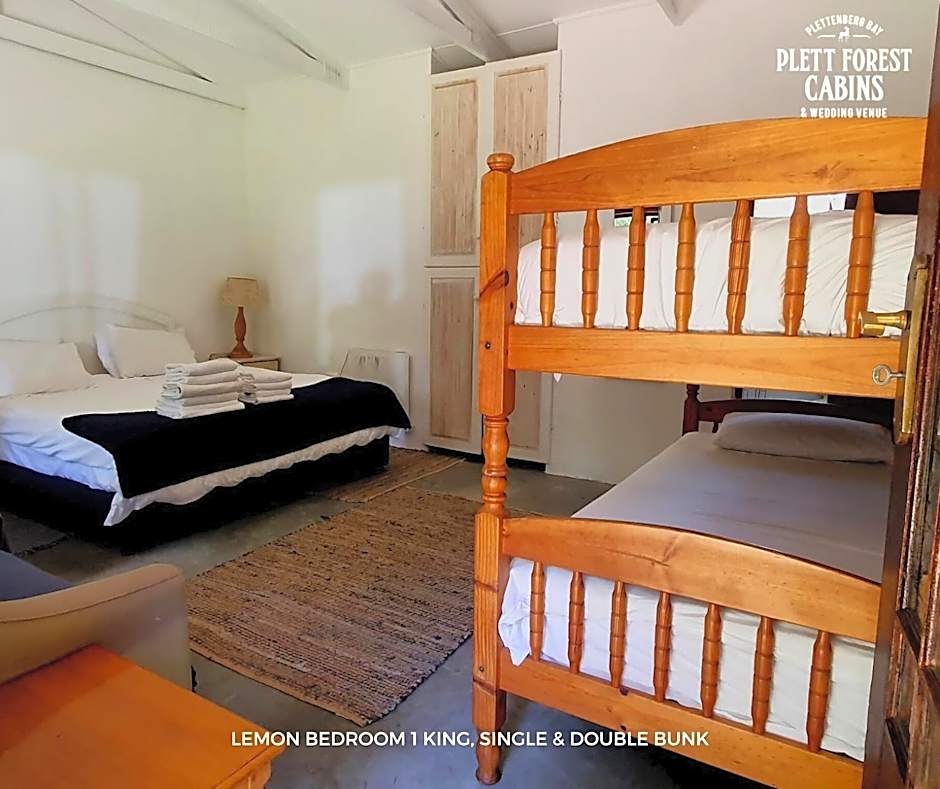 Plett Forest Cabins