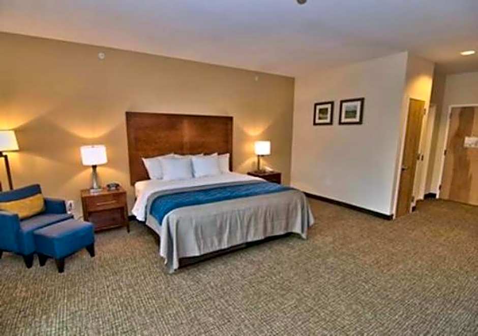 Comfort Inn Apalachin / Binghamton W Route 17