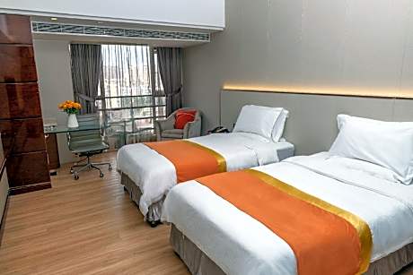 Luxury Twin room