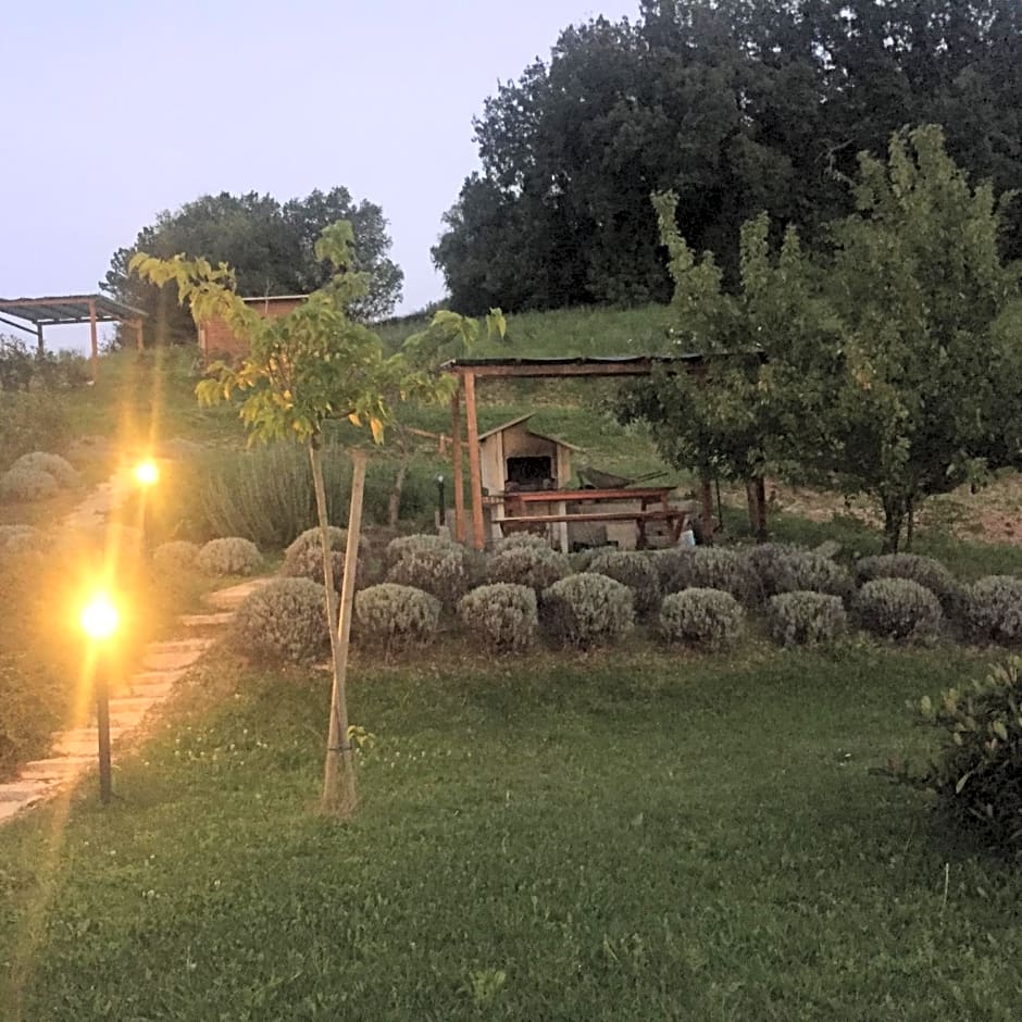 Agriturismo B&B La Cerasa