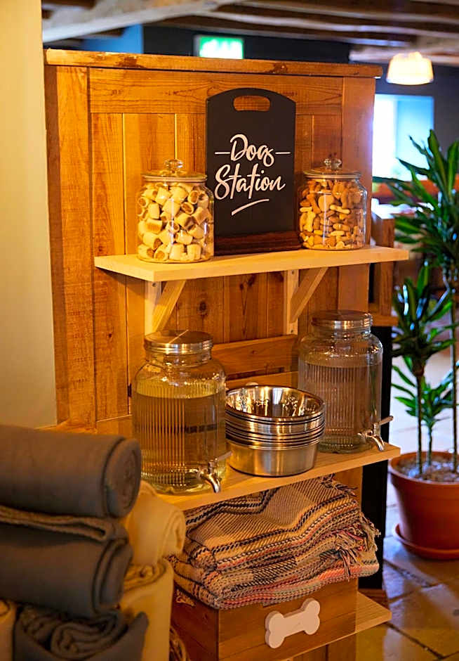 Rose Revived by Chef & Brewer Collection