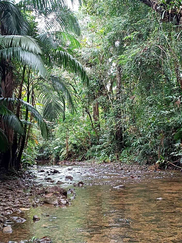 Brisa da Mata Ecolodges