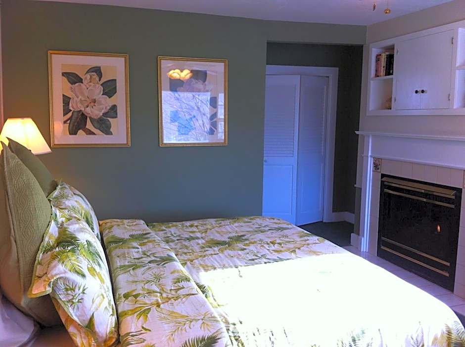 Photo 1 of 4 of 1 King Bed, Mountain View