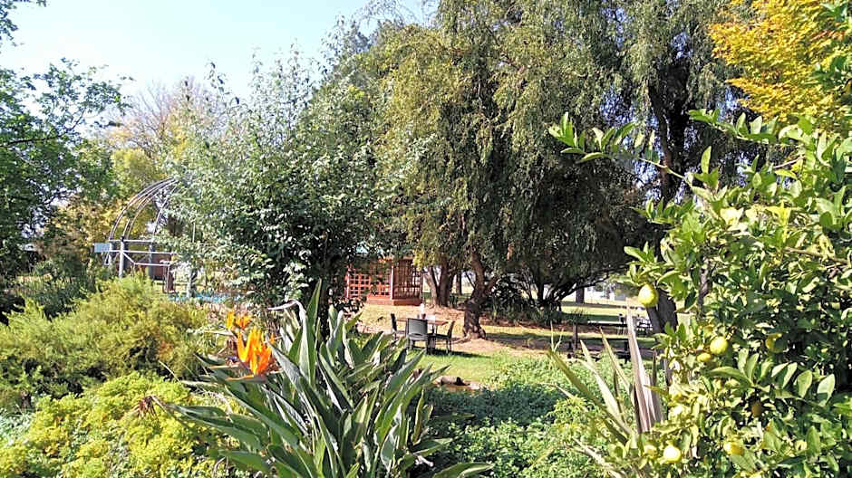 Grey Goose Game Lodge