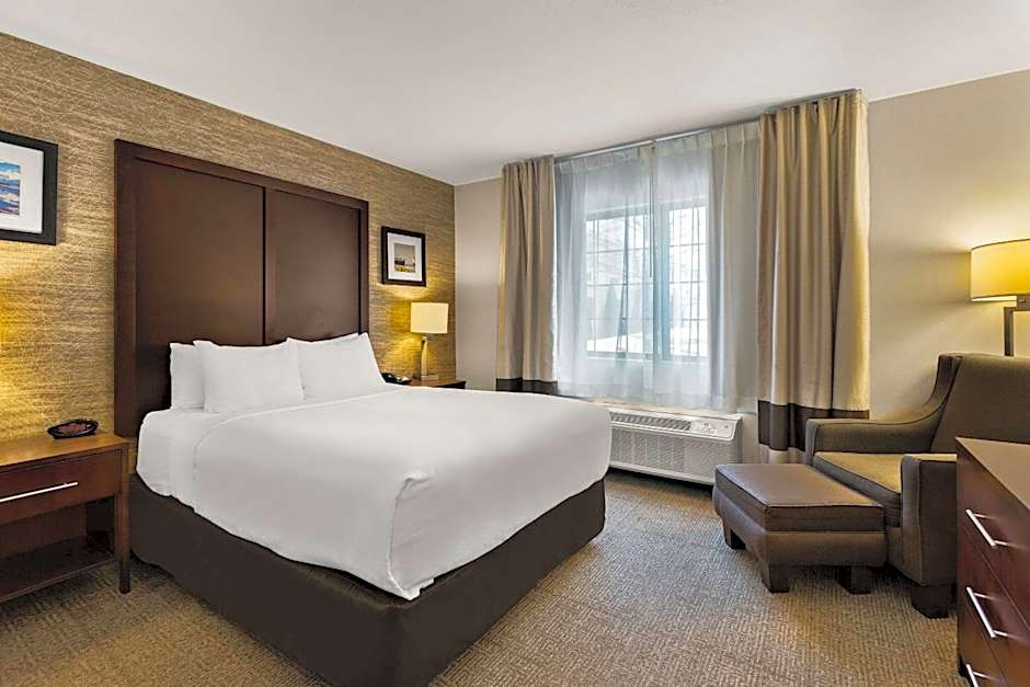 Comfort Inn & Suites Ludington near US-10