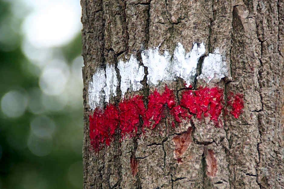 Gastenverblijf Eenink