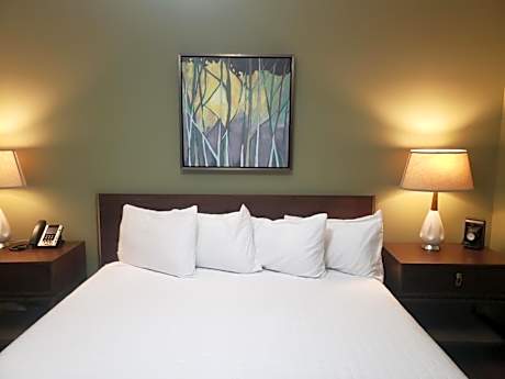 King Room with Garden View