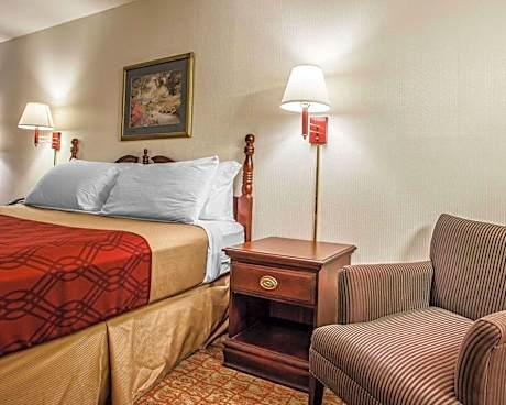 1 King Bed  Accessible Room  Smoking