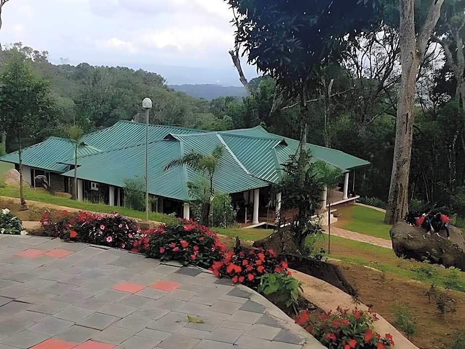 Neelakurunji Plantation Munnar