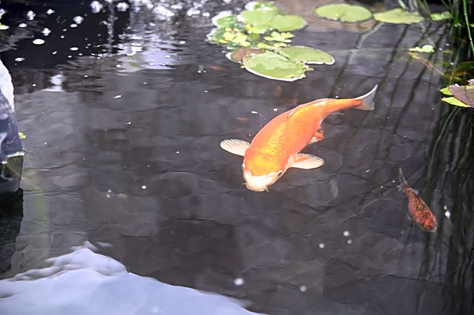 La Croisee des Sentiers