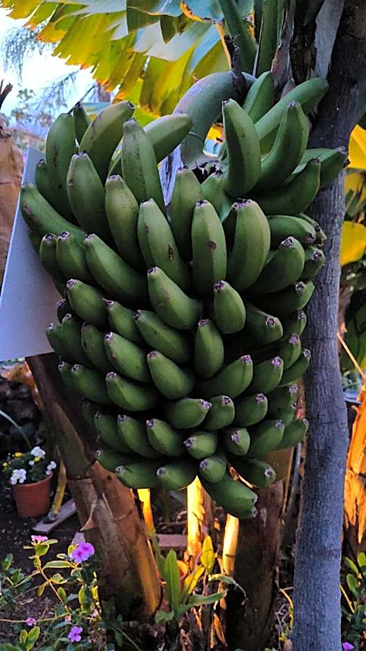 Hotel Rural La Raya 1866