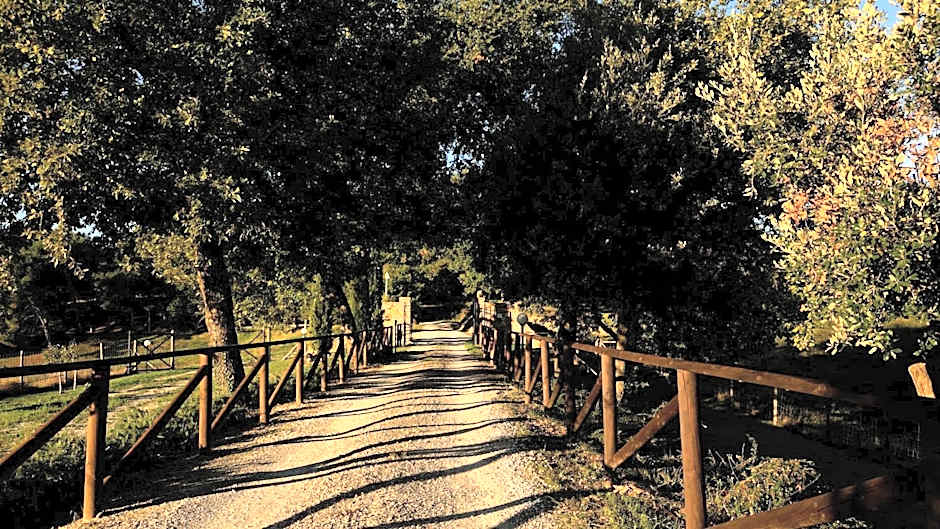 Il Giuncheto