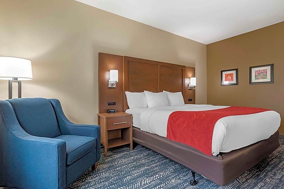 Comfort Inn & Suites Downtown near University