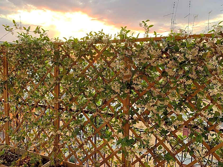 In Terrazza Da Giusy