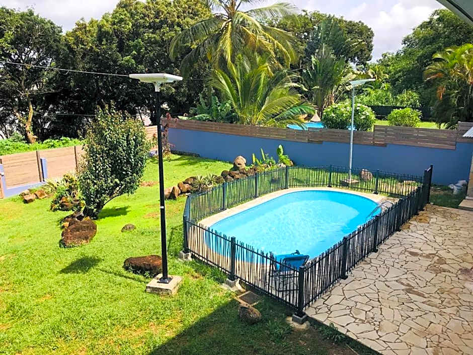 Shikoa Sobole - Le Morpho et l'Ara