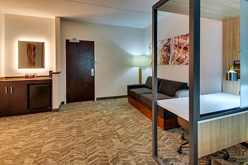 SpringHill Suites by Marriott Birmingham Downtown at UAB