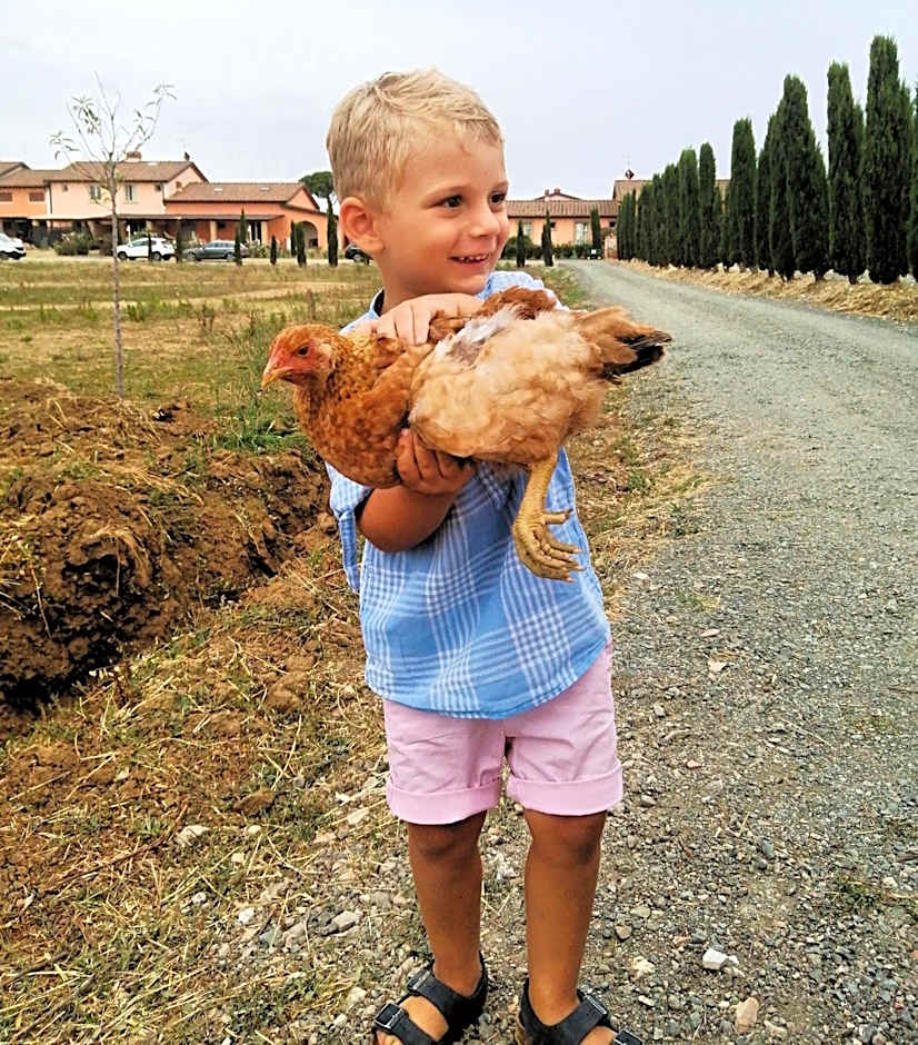 Fattoria Palazzeta - Pet & Family Friendly