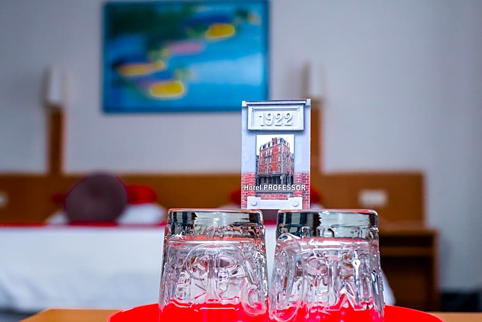 Hotel Professor Leuven Centrum