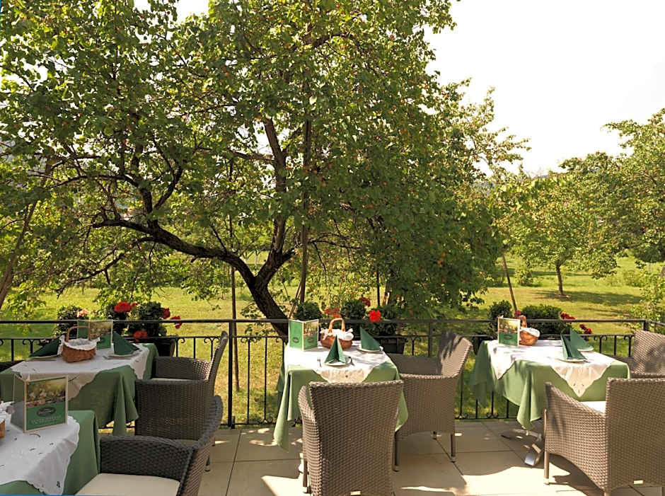 Donauhof - Hotel garni