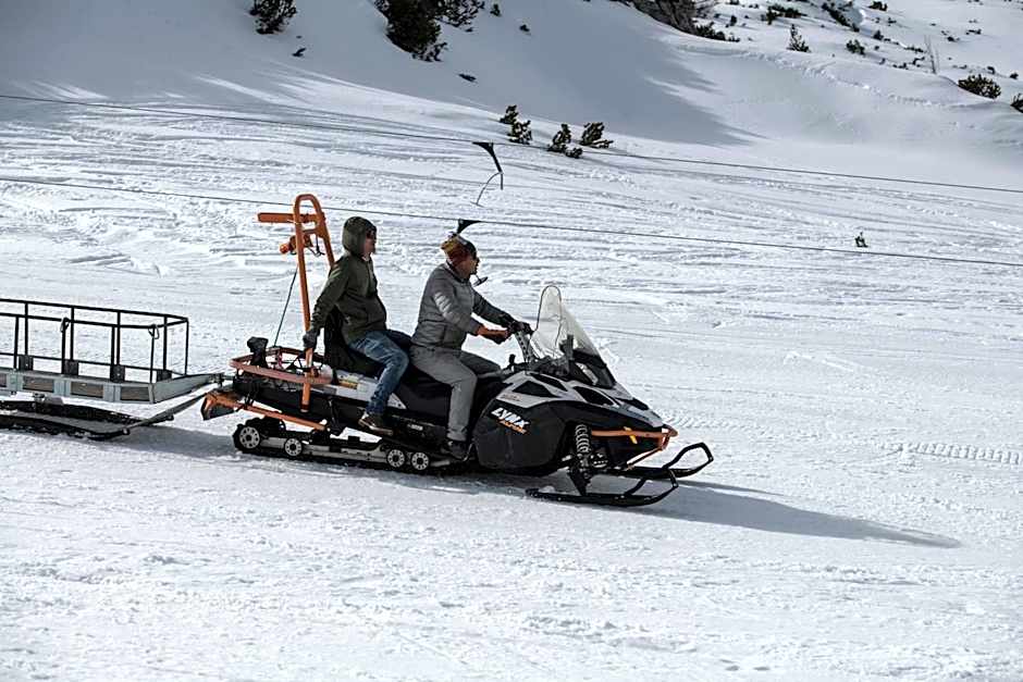 Gjaid-Alm 1739m am Dachstein-Only Accessible by Cable Car