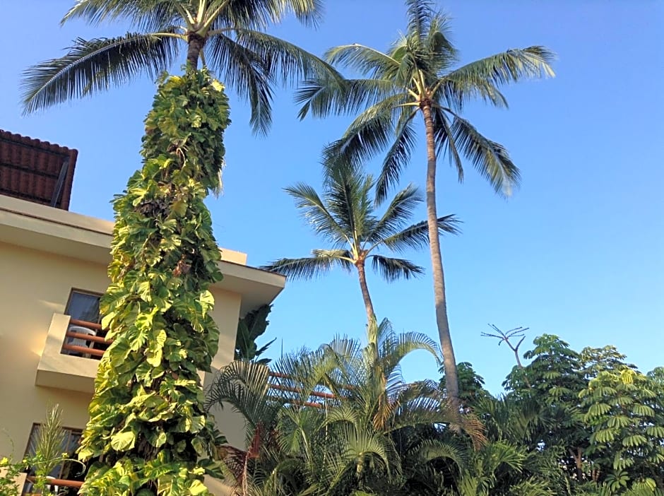Hotel Palmeras